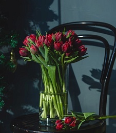 Букет из 25 тюльпанов