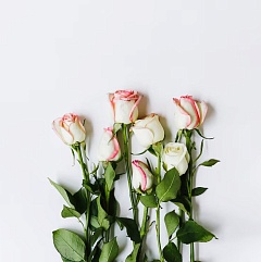 Букет белых роз